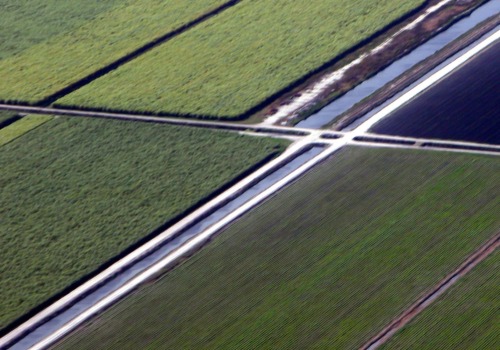 Subdividing Land in Southwest Florida: Restrictions and Regulations Explained